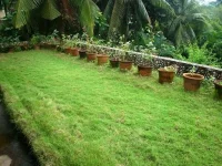 terrace lawn.webp